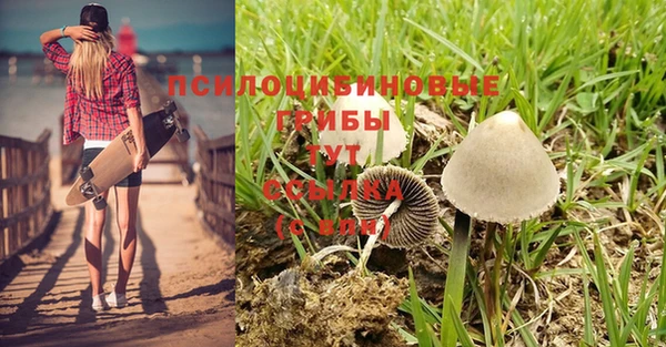 ГАЛЛЮЦИНОГЕННЫЕ ГРИБЫ Володарск