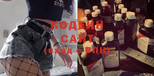 скорость Вяземский