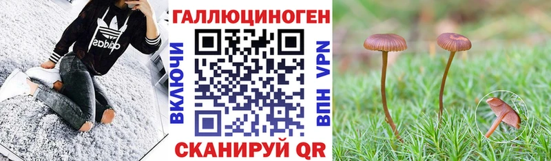 Псилоцибиновые грибы MAGIC MUSHROOMS  Ермолино 